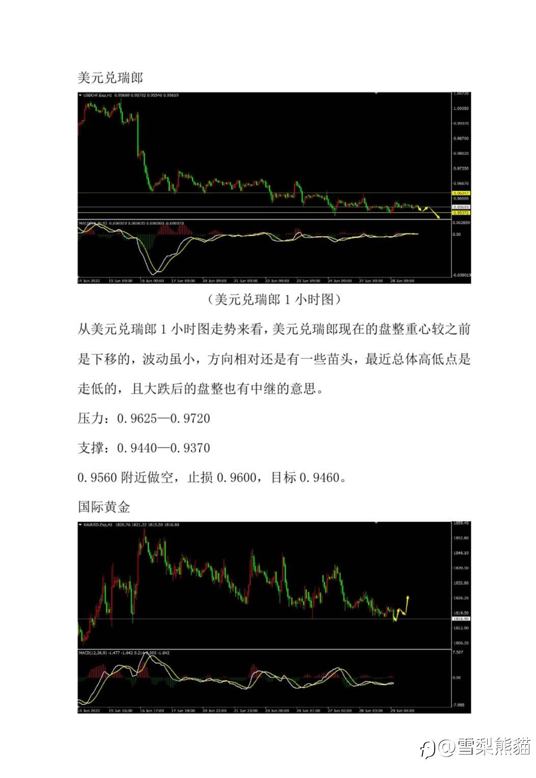 29/6拓利汇评