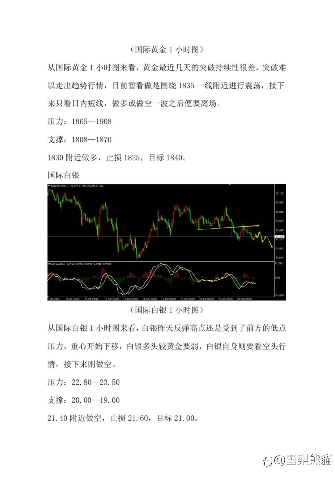 23/6拓利汇评