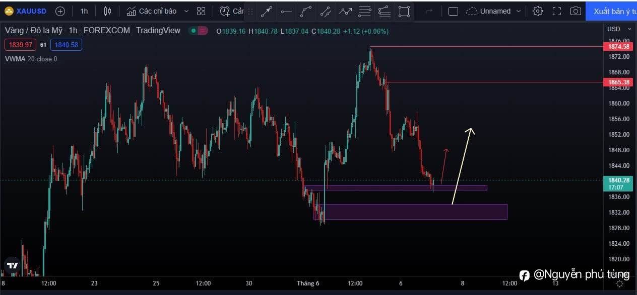 feed-image-0