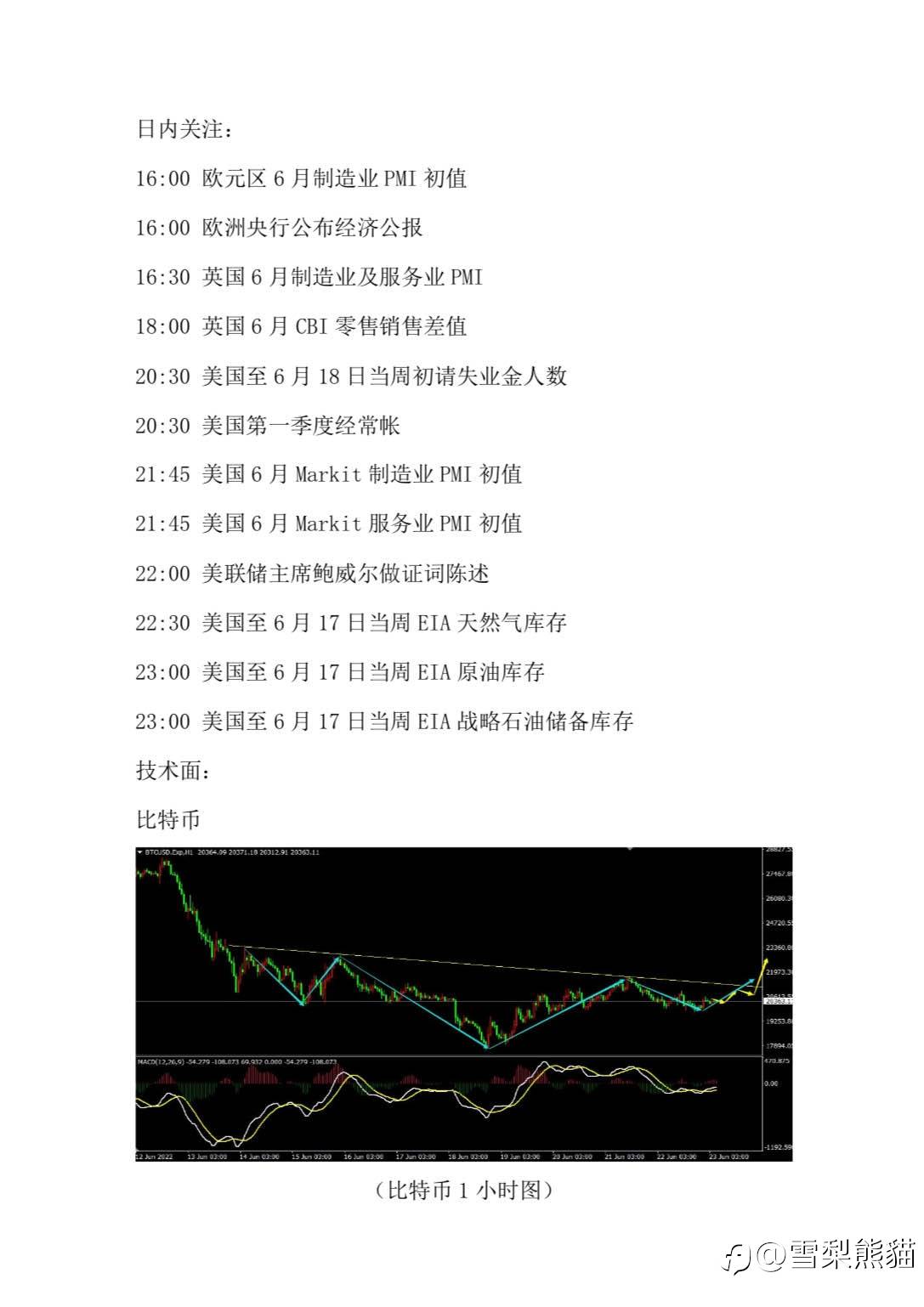 23/6拓利汇评