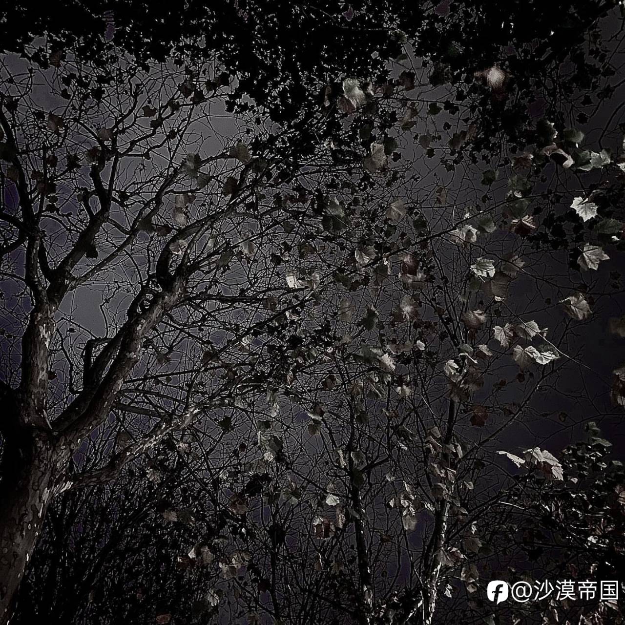 2022.6.21外汇早报