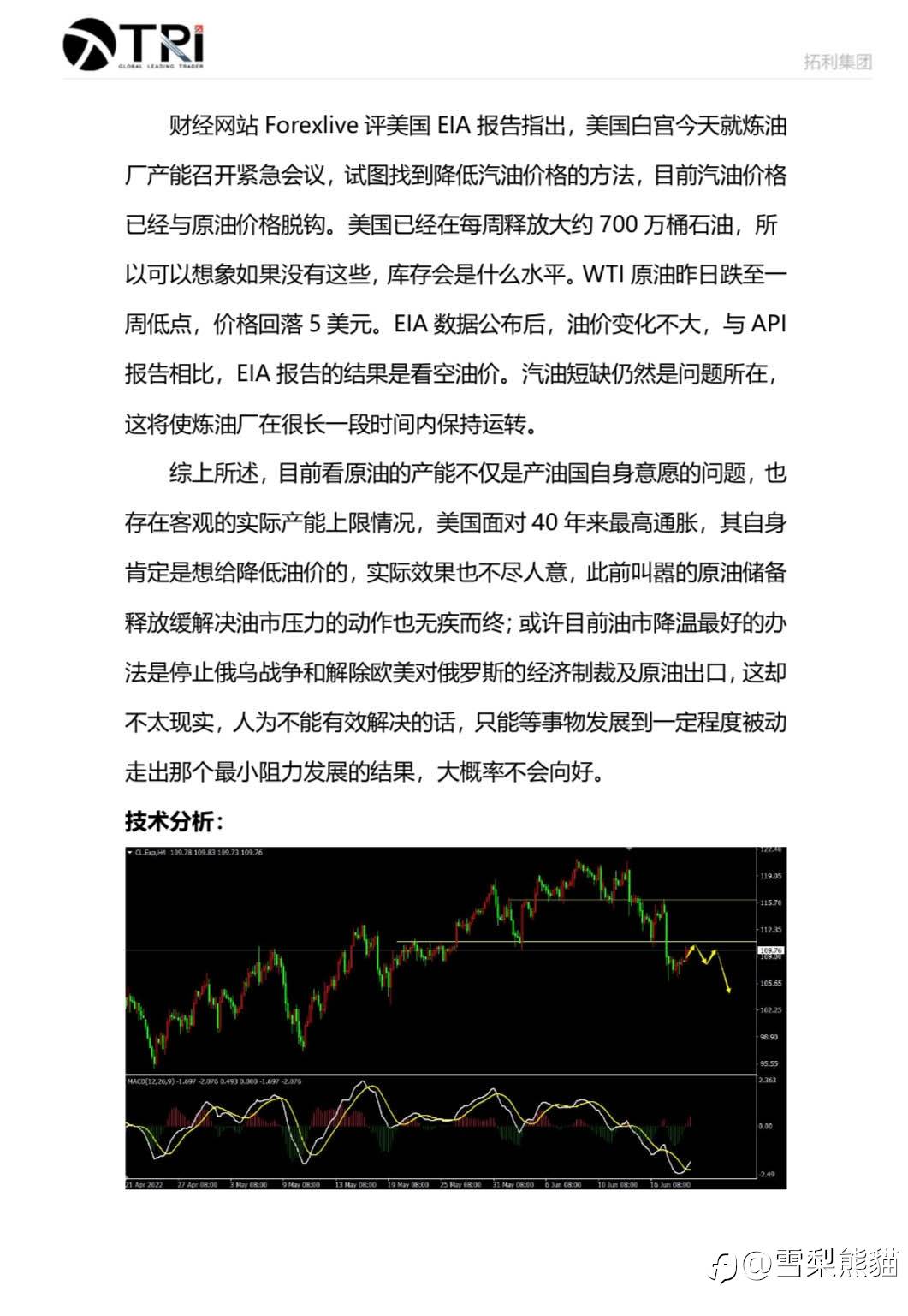 拓利23/6 EIA特刊