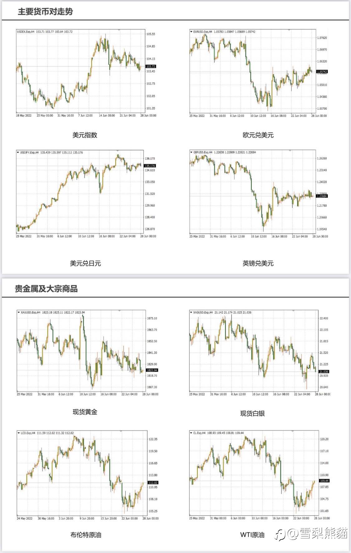 28/6拓利日报