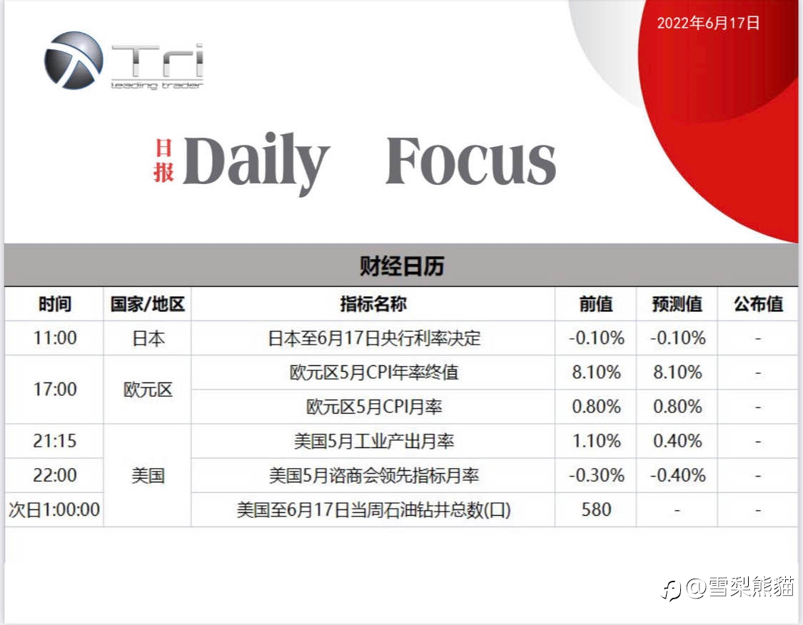 17/6拓利日报