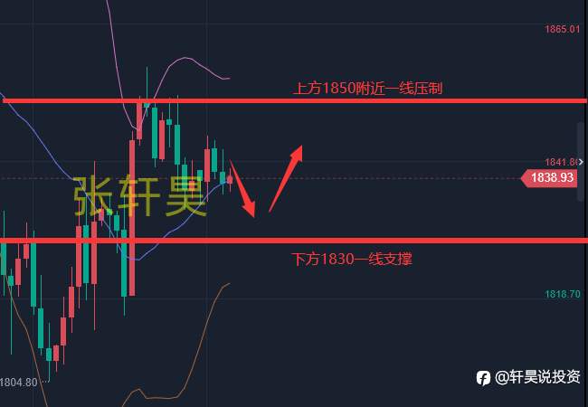 张轩昊：6.20黄金很难有方向波动！ 本周老鲍重磅亮相