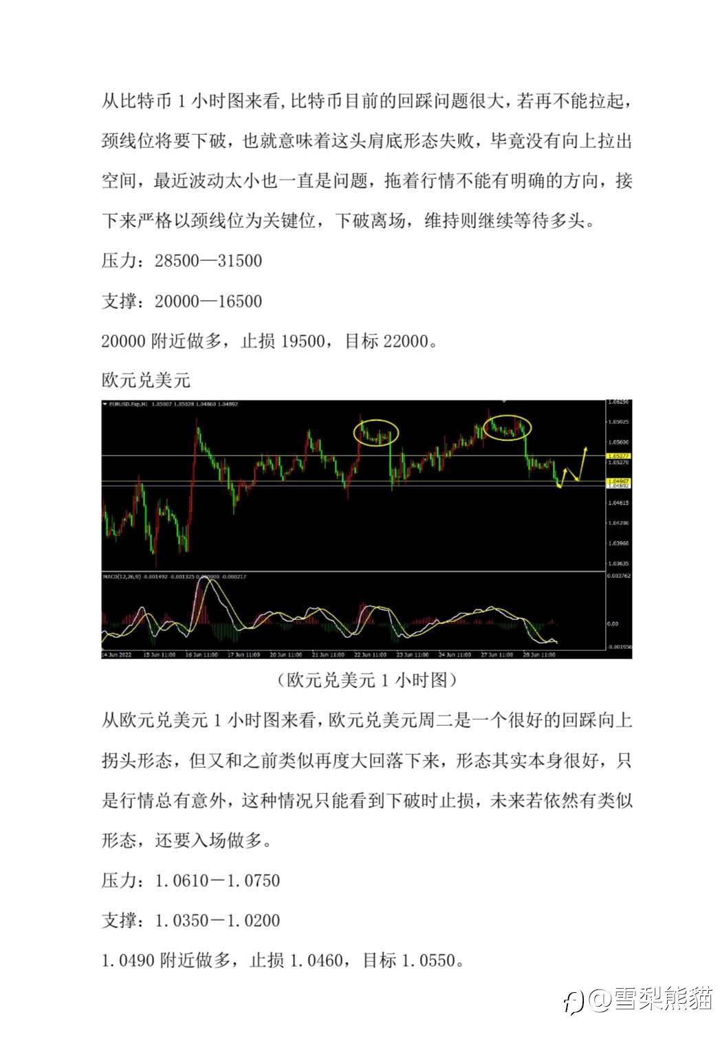 29/6拓利汇评