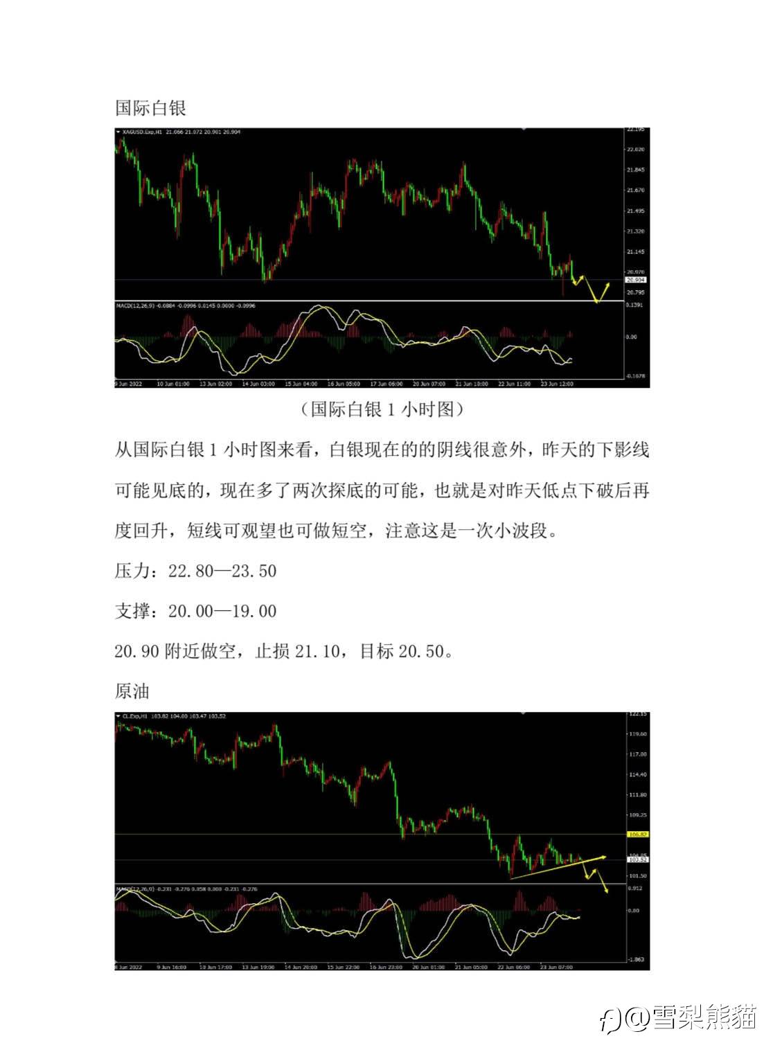 24/6拓利汇评