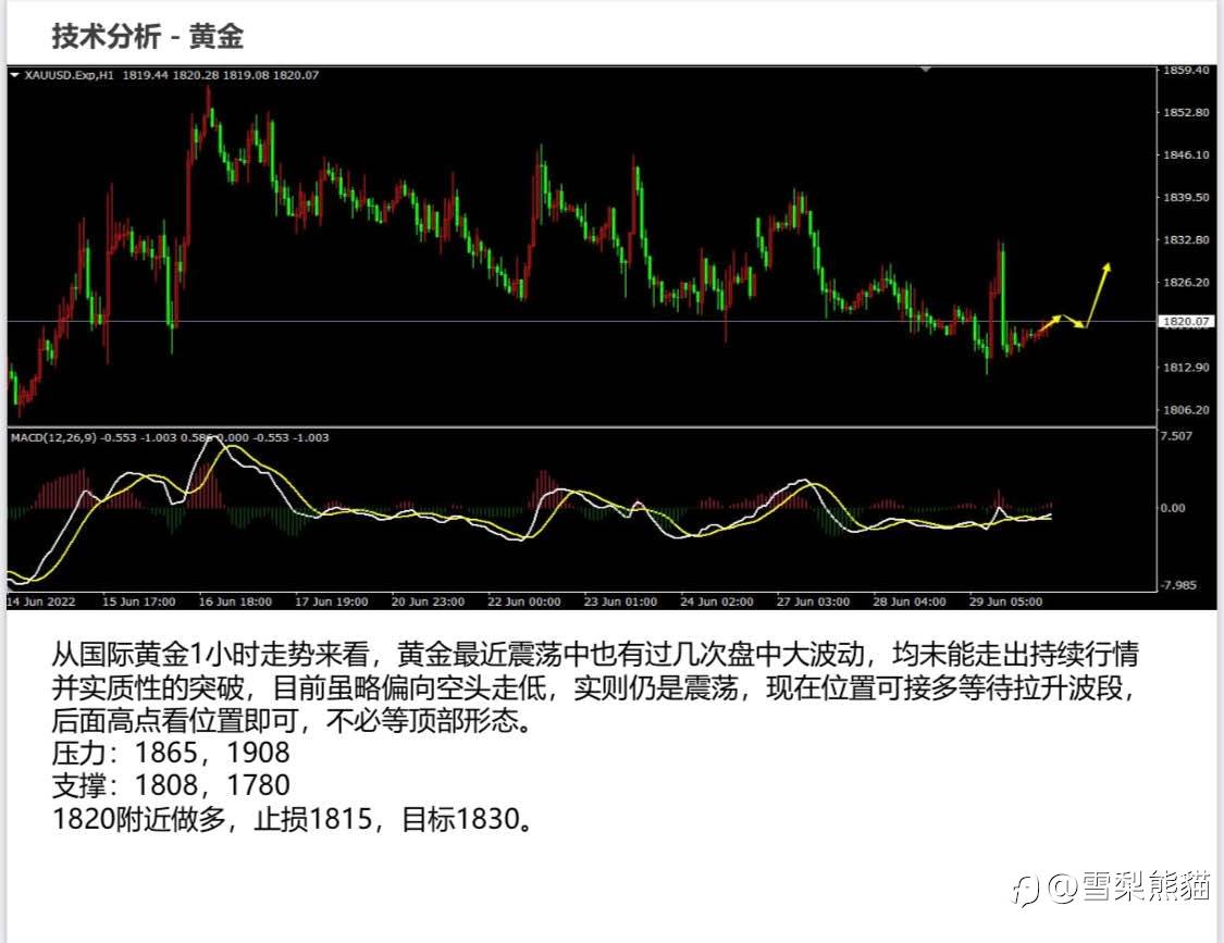 30/6拓利日报