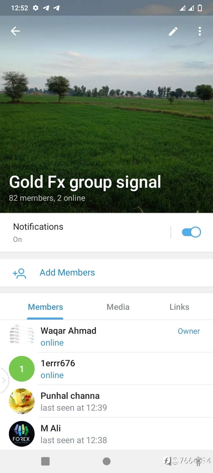 feed-image-0