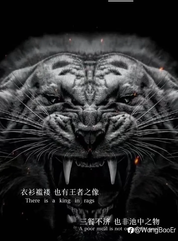 不止损会死？
