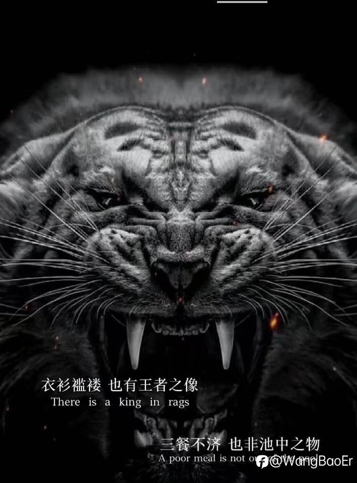 不止损会死?