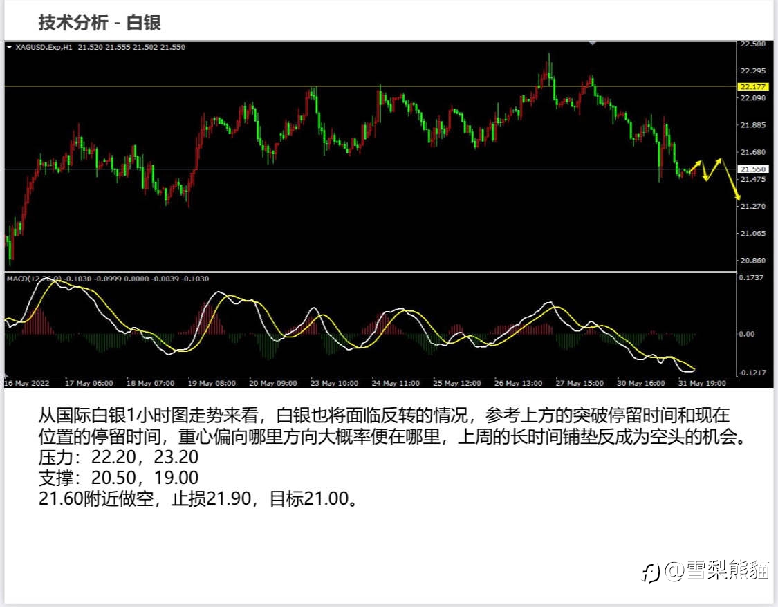 1/6拓利日报