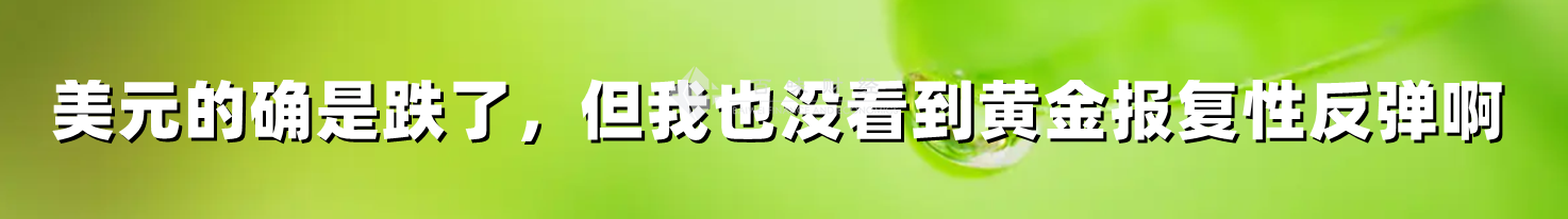 美元的确是跌了,但我也没看到黄金报复性反弹啊