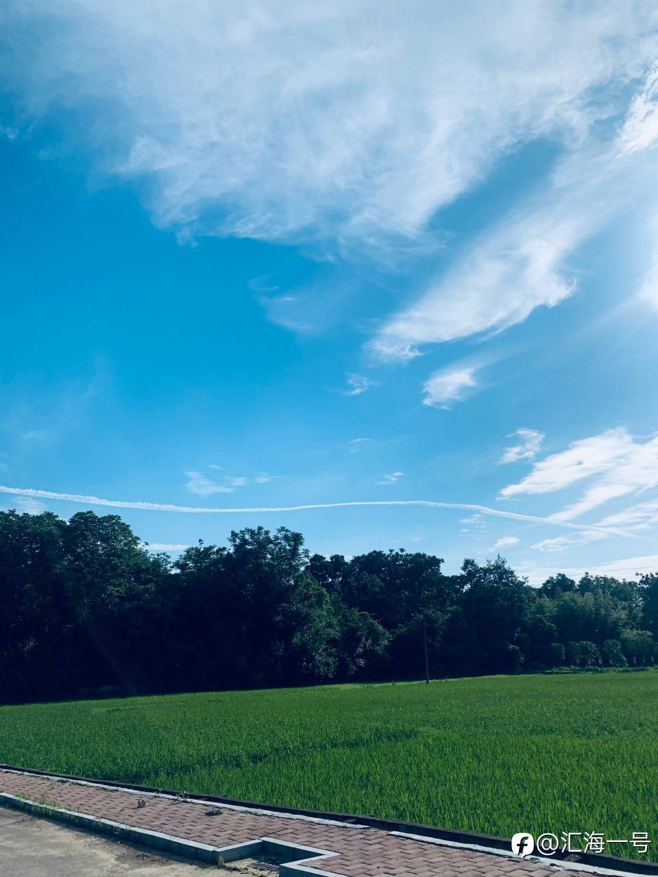 我的交易生涯(2)之拜师学艺