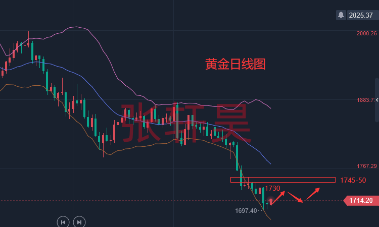 张轩昊:美联储加息100基点预期来去匆匆 黄金或迎来一波大反攻?