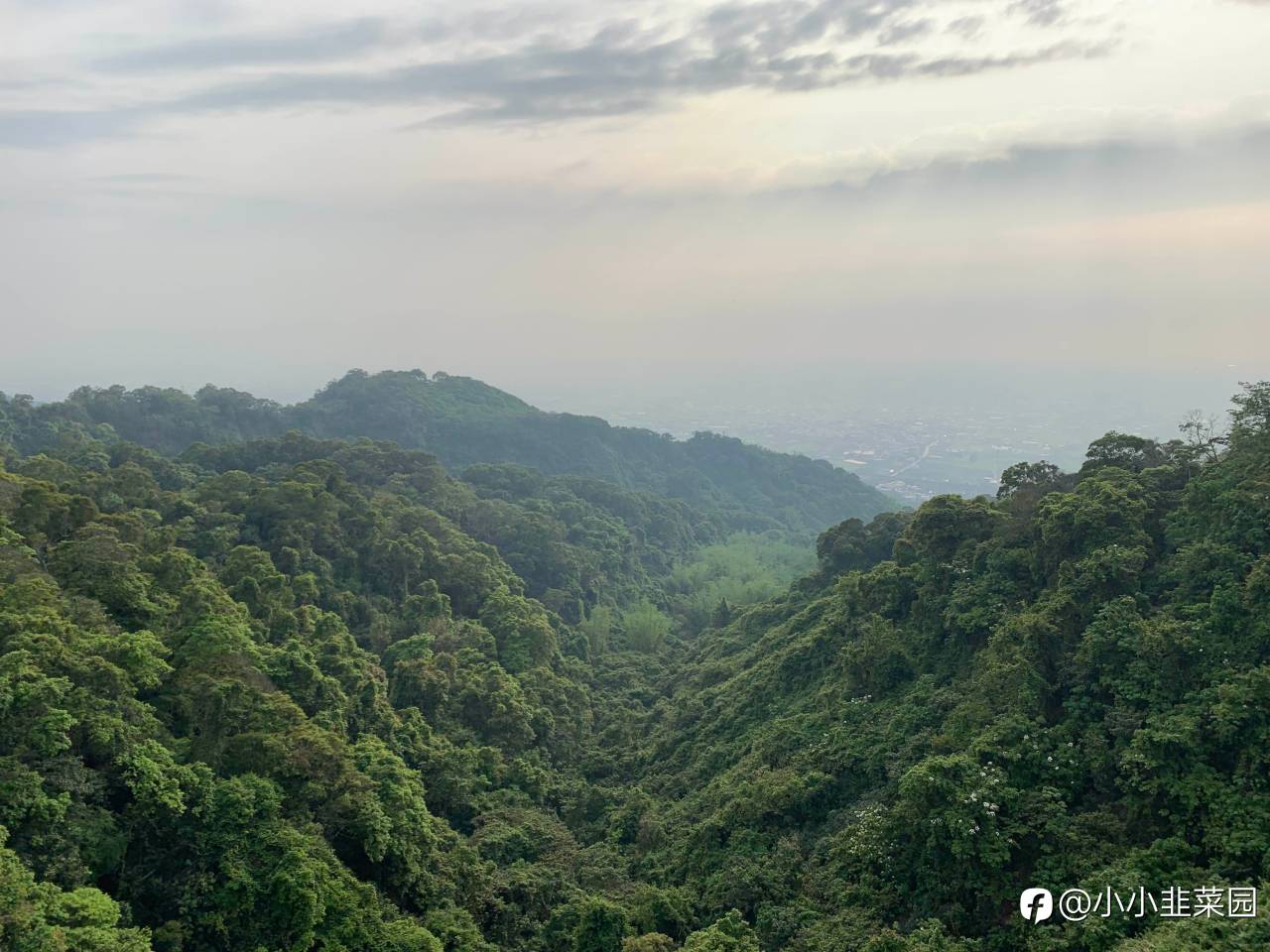 风景