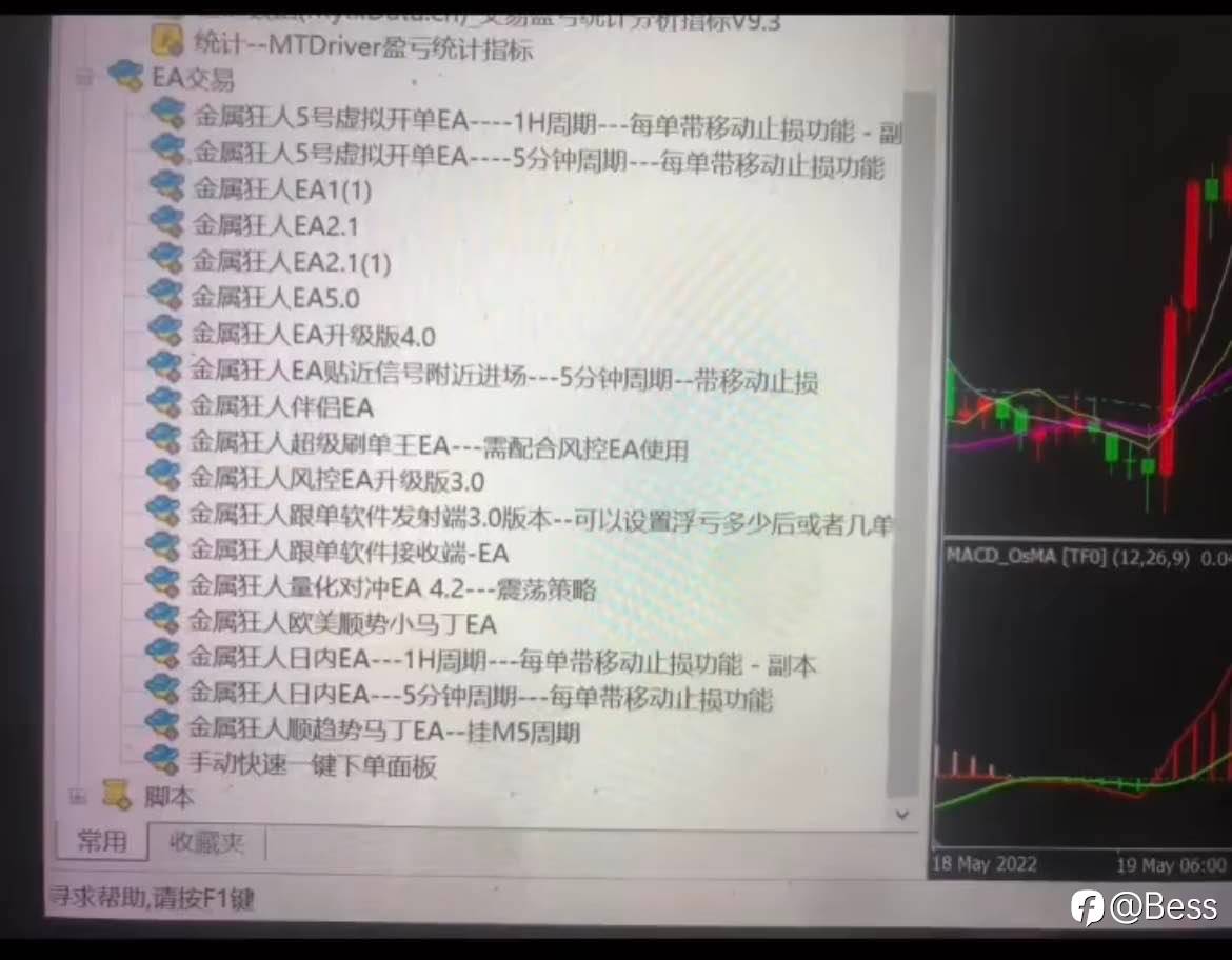 feed-image-1