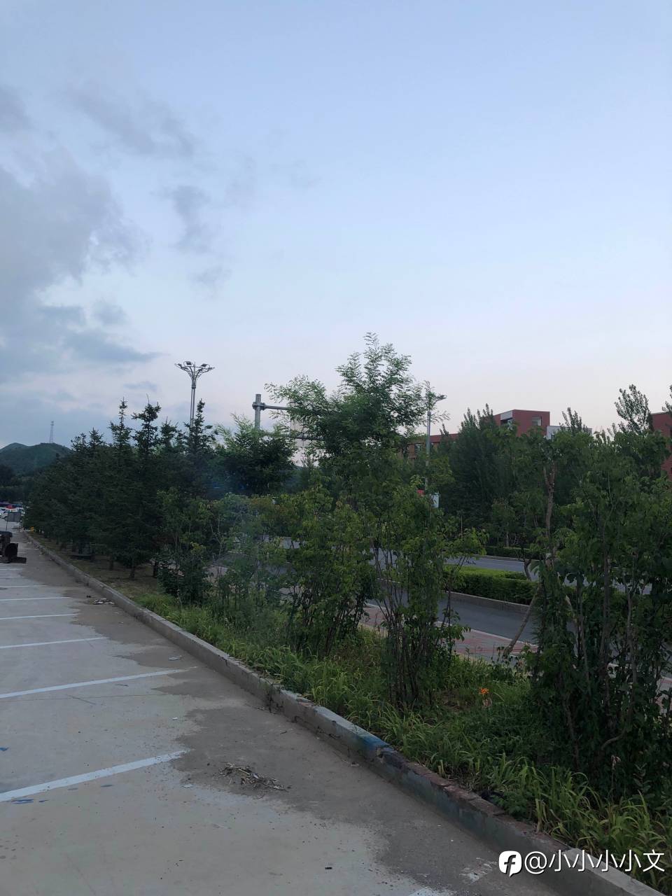 feed image