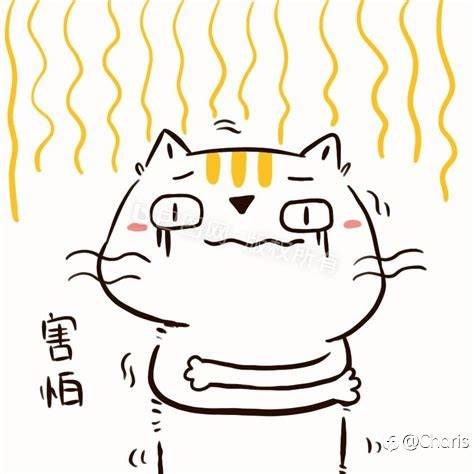 这里这星期学到了最重要的一件事情