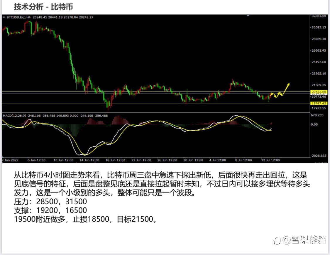 14/7拓利日报