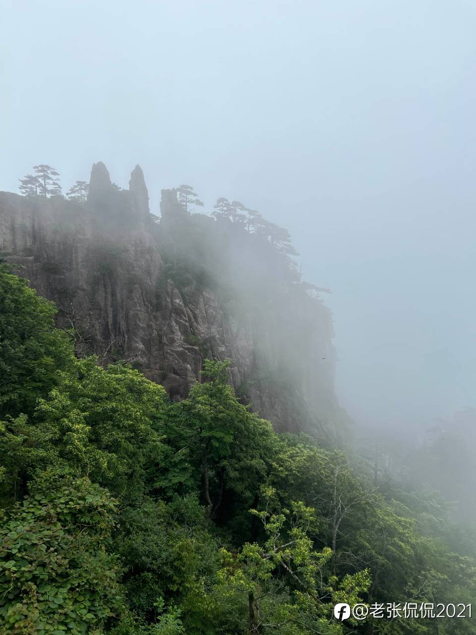 feed image
