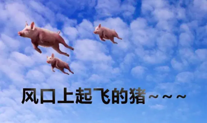 保持对市场的敏感和谨慎，抄底成功后继续看金价上涨