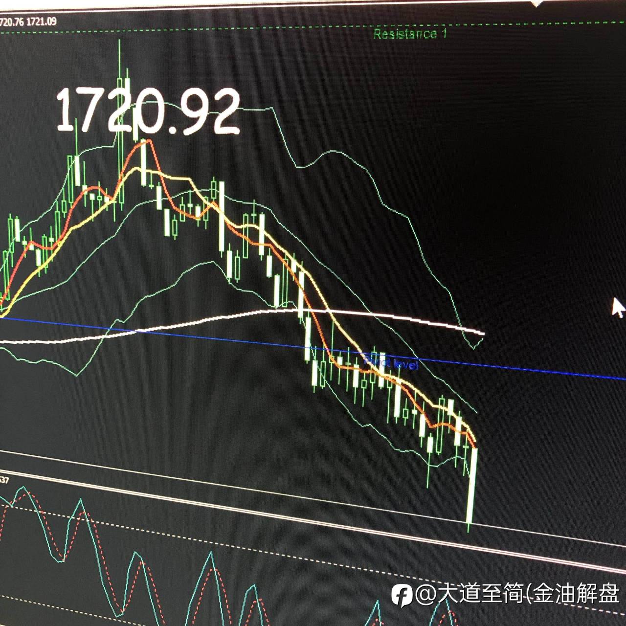 feed-image-1