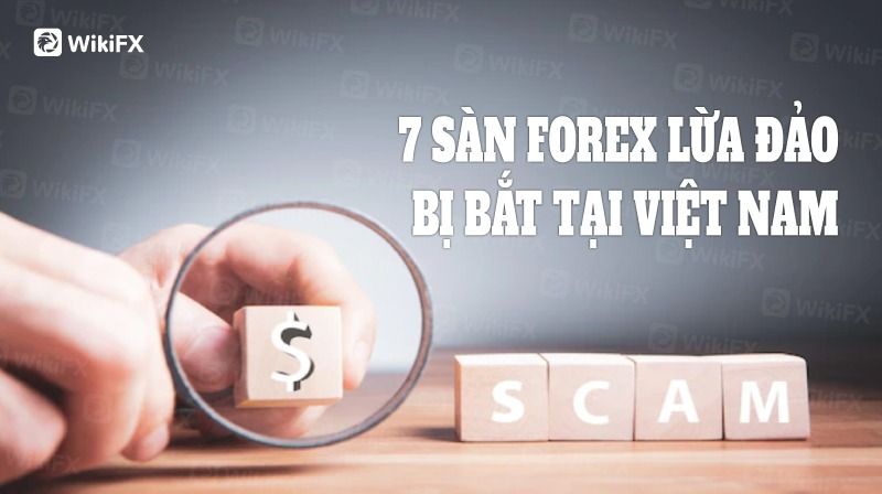 7 SÀN FOREX LỪA ĐẢO BỊ BẮT TẠI VIỆT NAM - WIKIFX