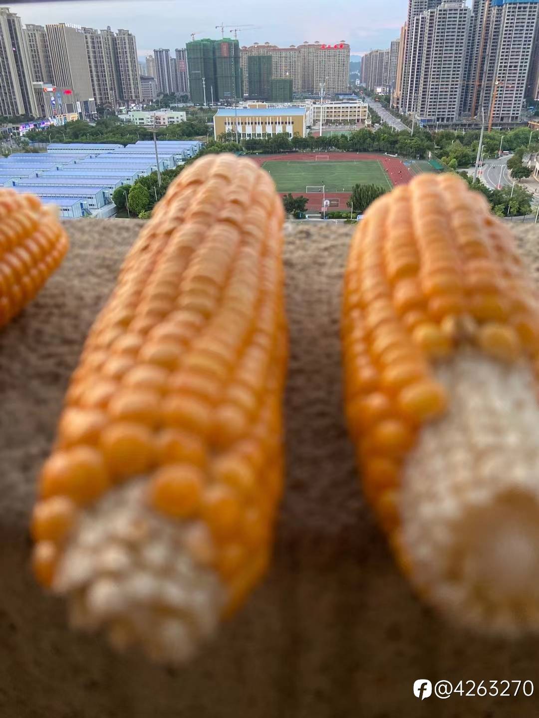 feed image