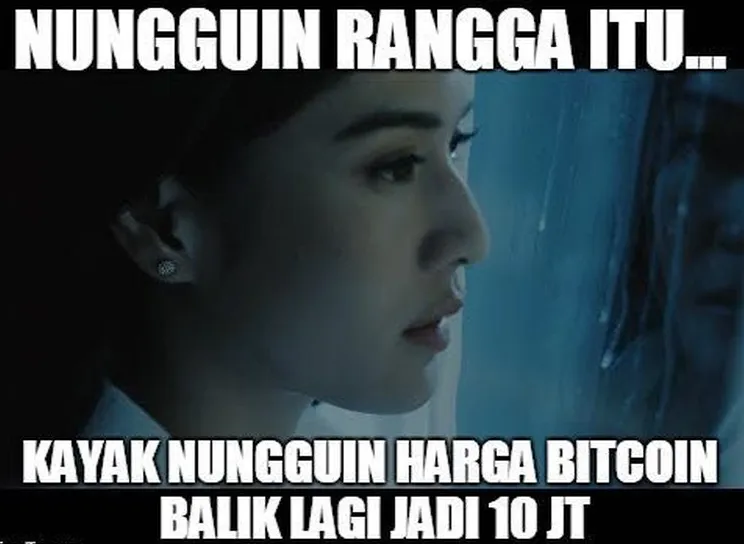feed image