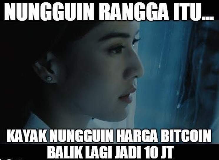 feed-image-0