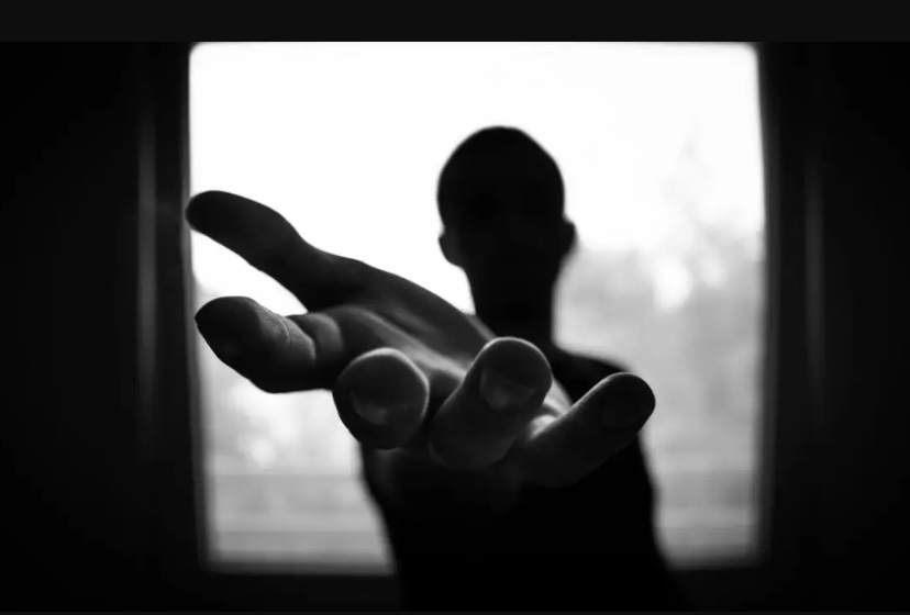 feed image