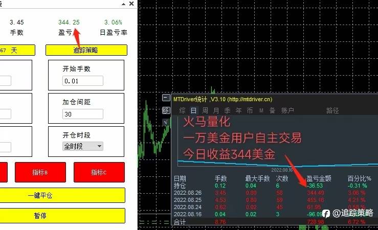 追踪策略