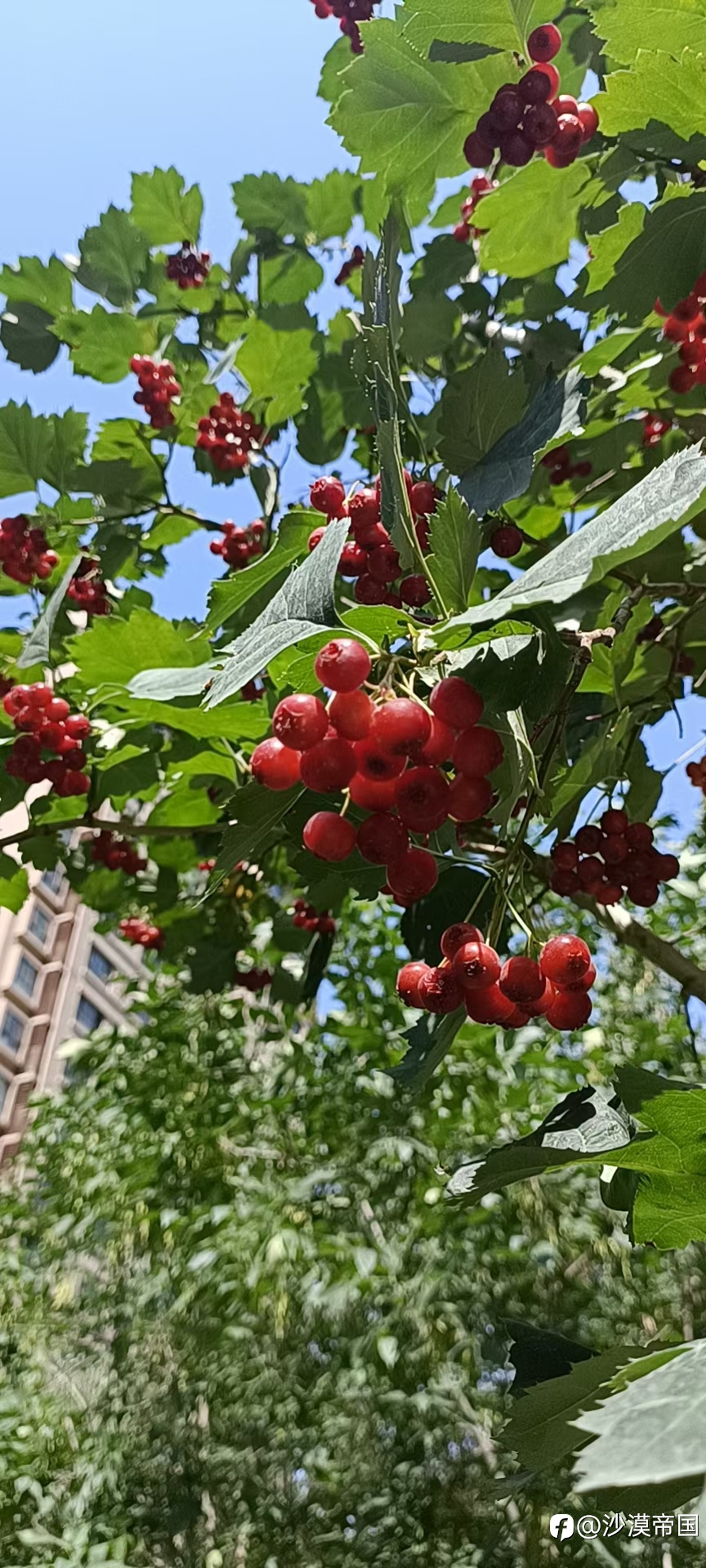 2022.8.22外汇每日交易策略