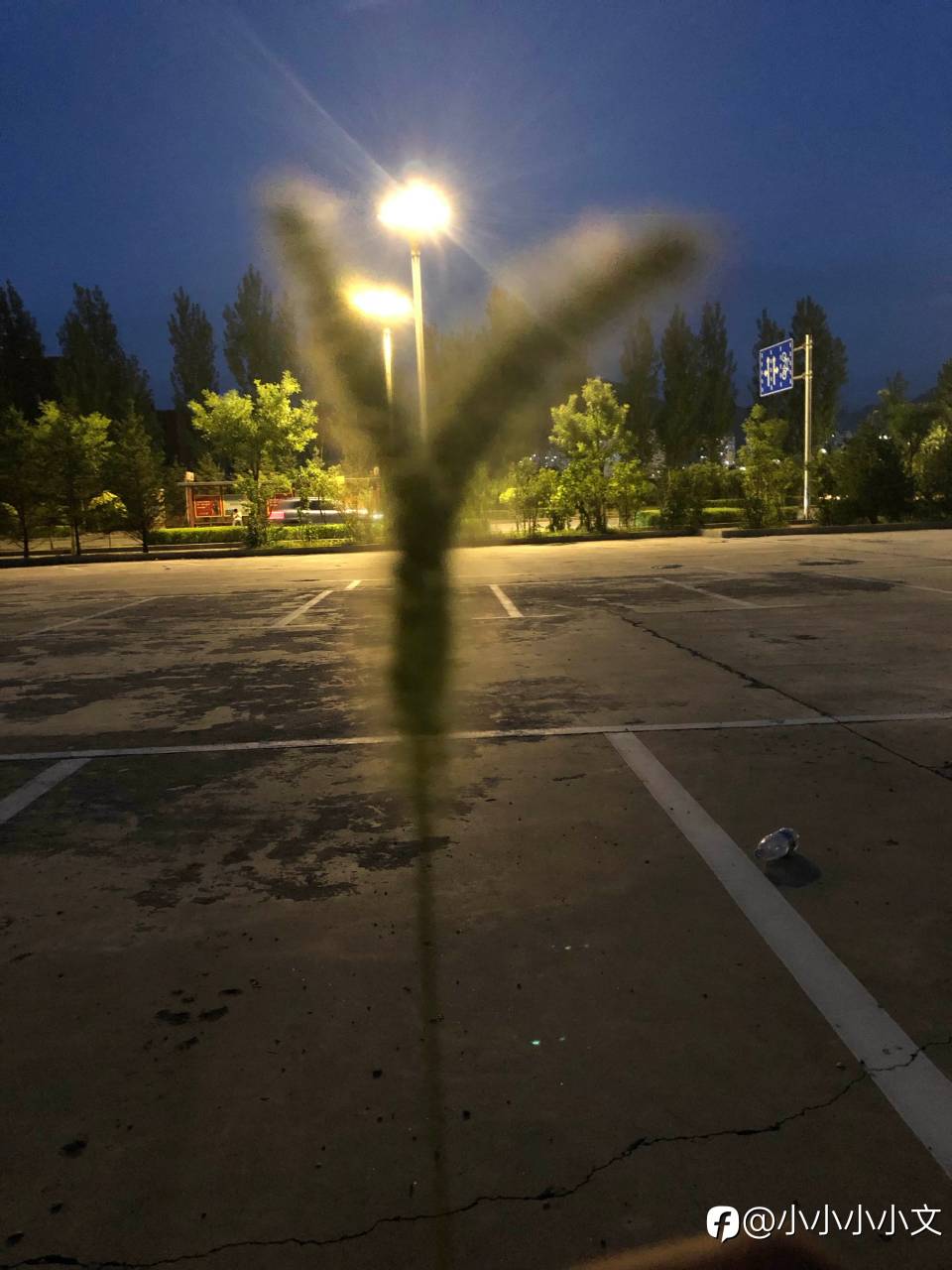 feed image