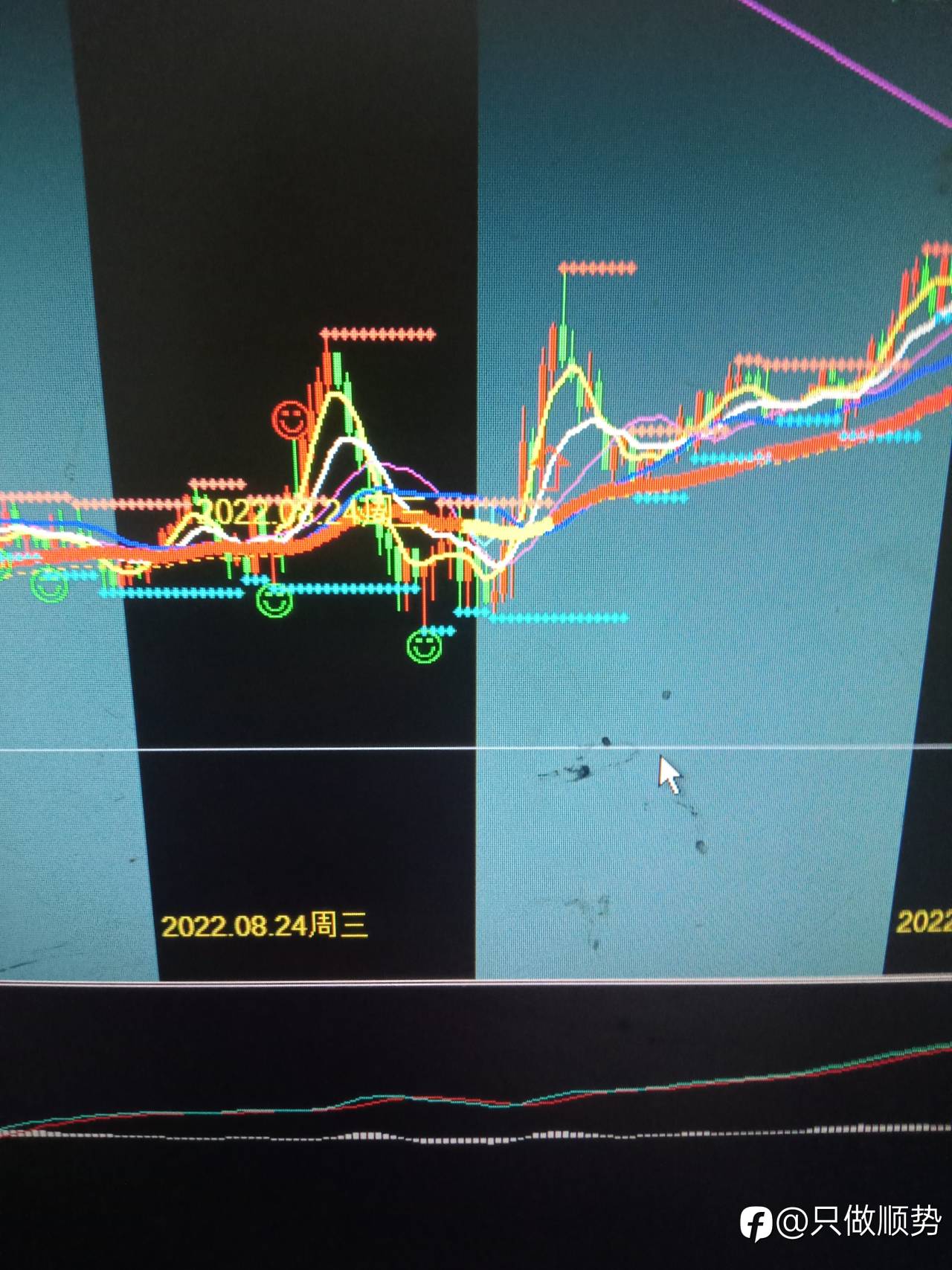 feed-image-1