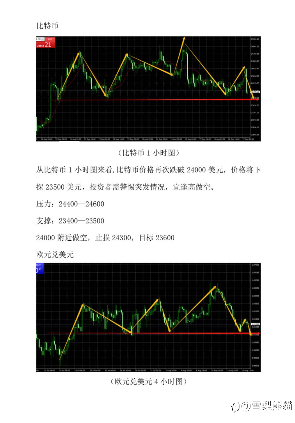 17/8拓利汇评