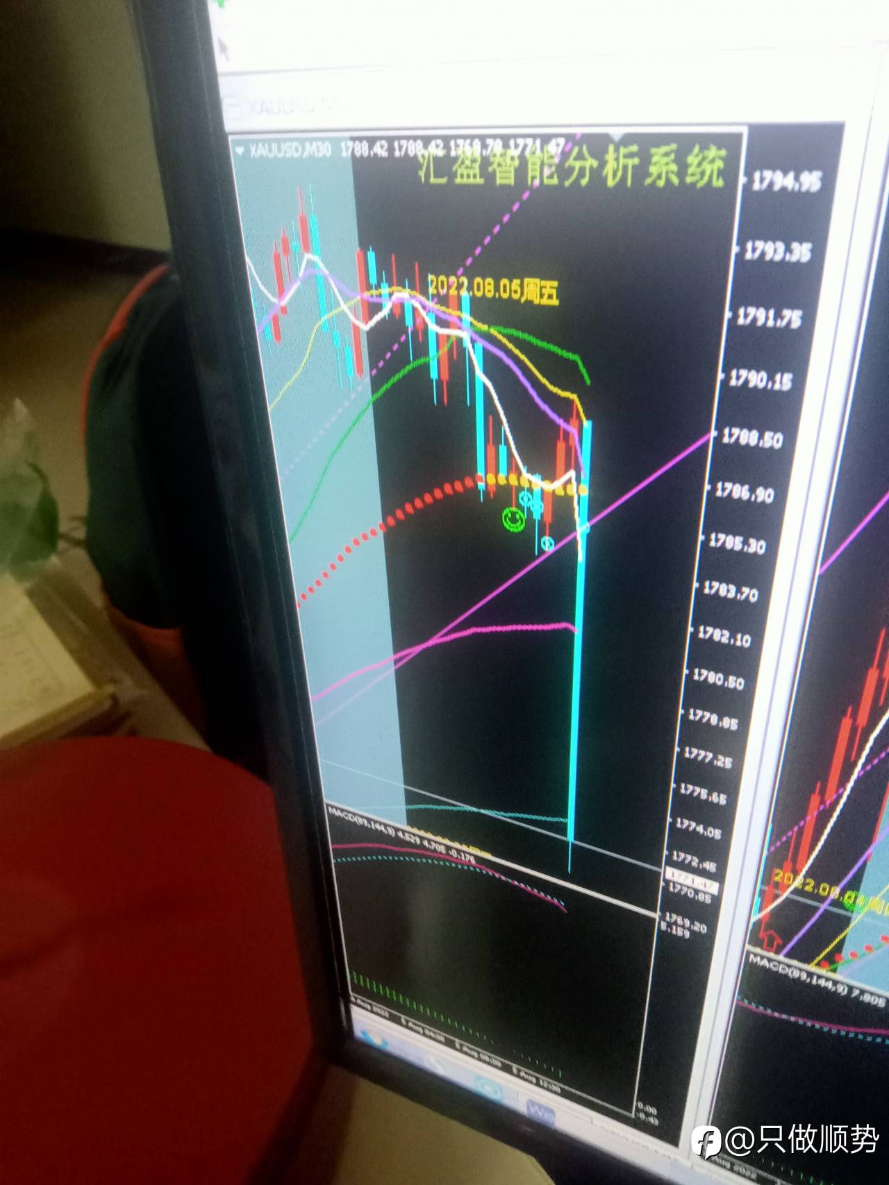 feed-image-1