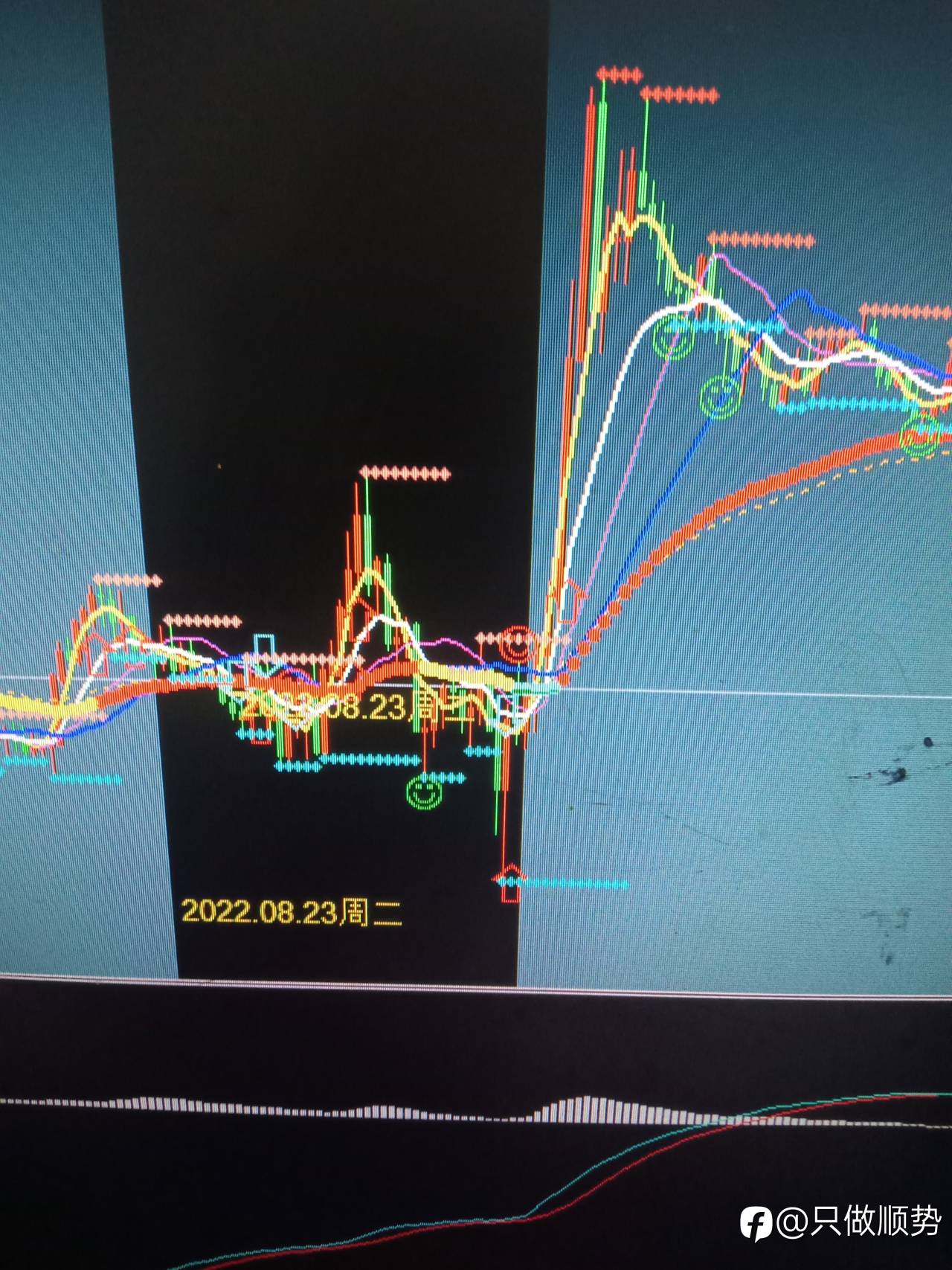 feed-image-2