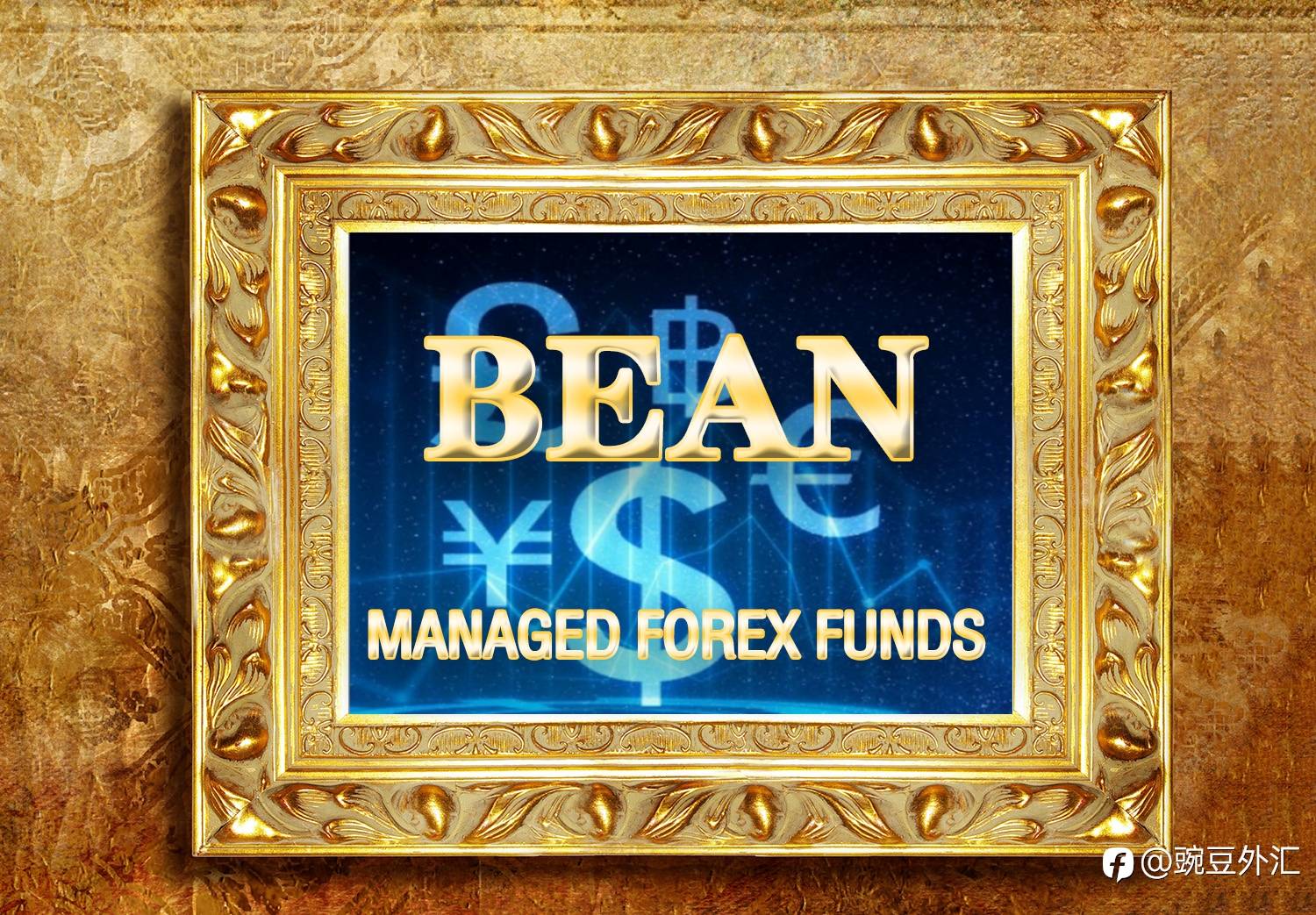 订阅优惠政策，送解套EA软件