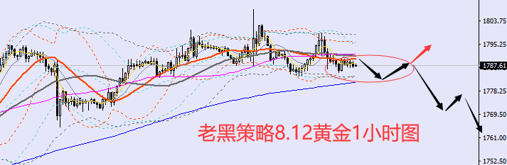老黑策略:8.12外汇、黄金、原油分析策略
