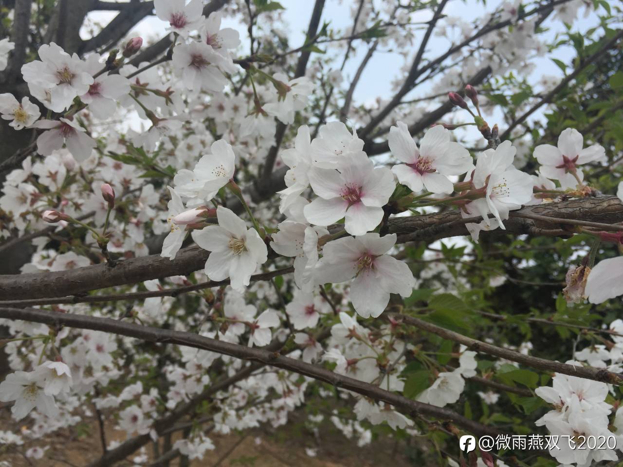 诗意交易第三篇