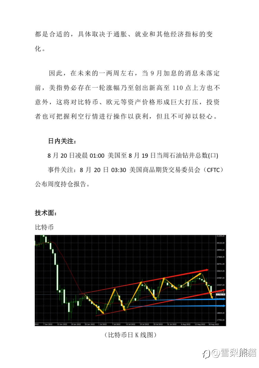 19/8拓利汇评