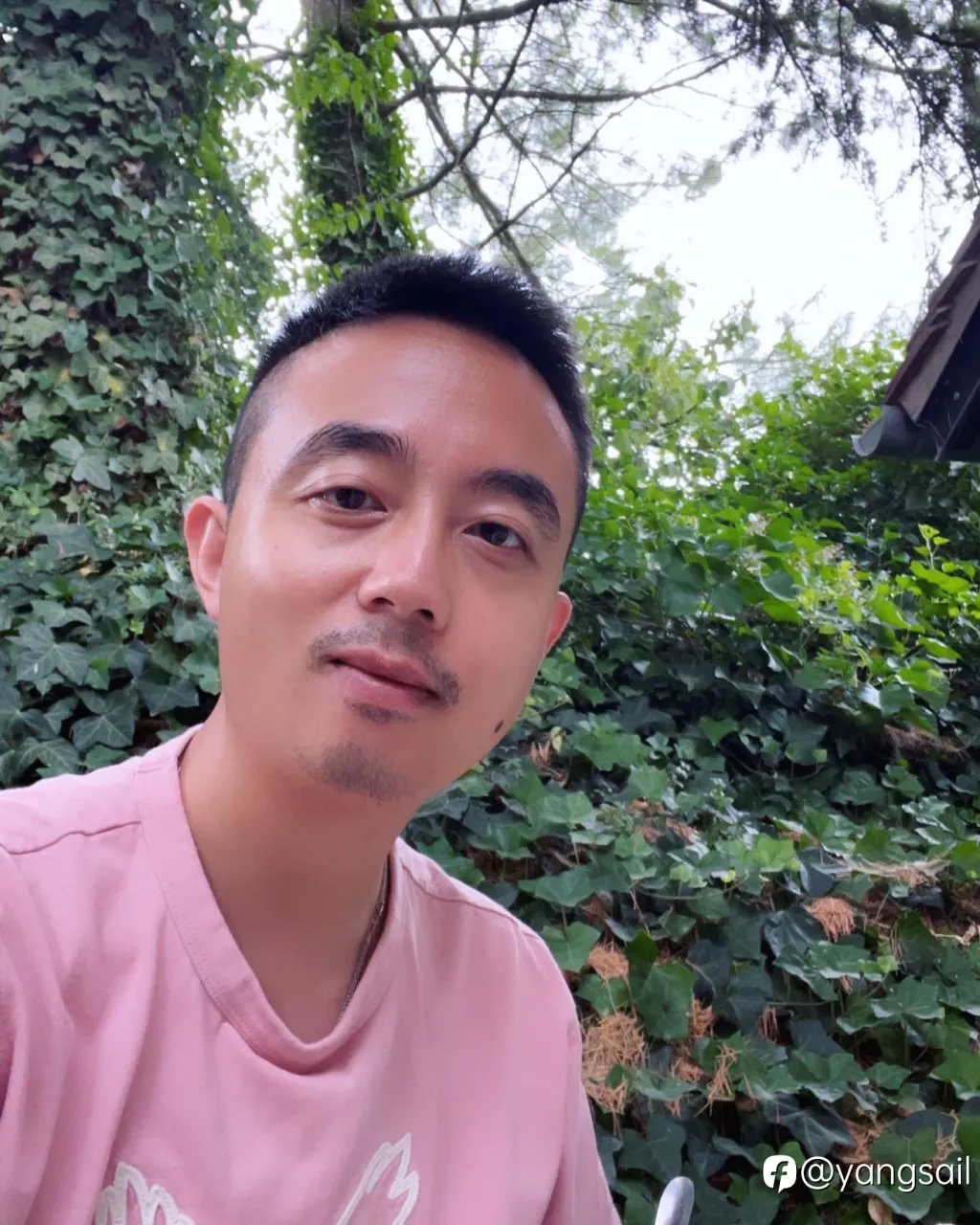我的投资生涯（二十二）