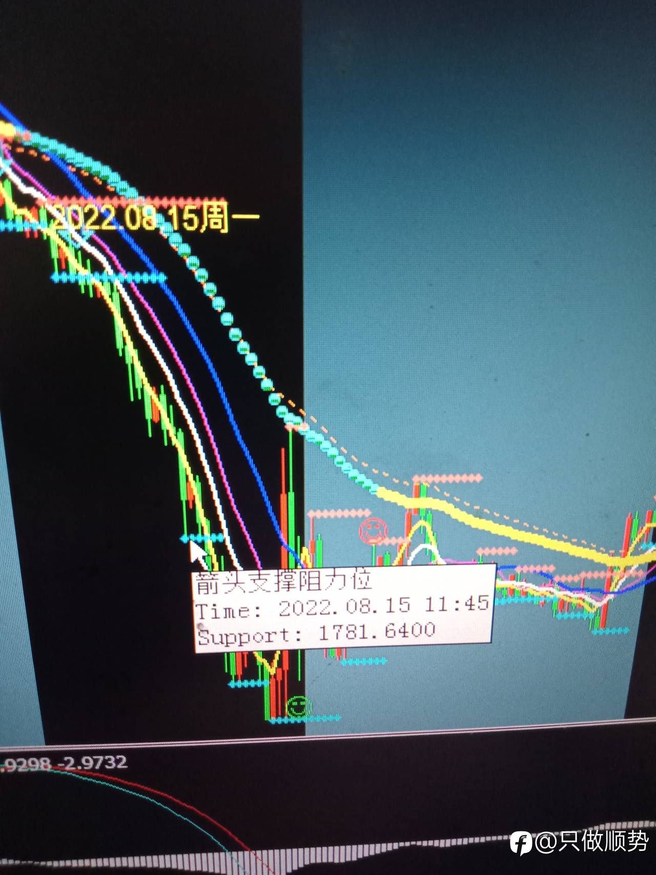 feed-image-2