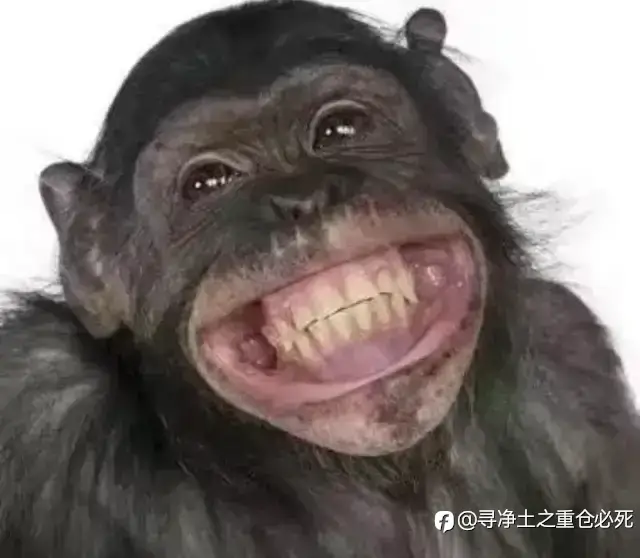 即使经历交易地狱六道轮回，也要感恩帮助过你的人