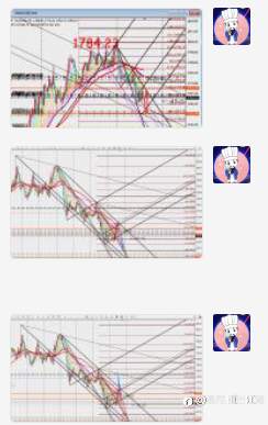 feed-image-2