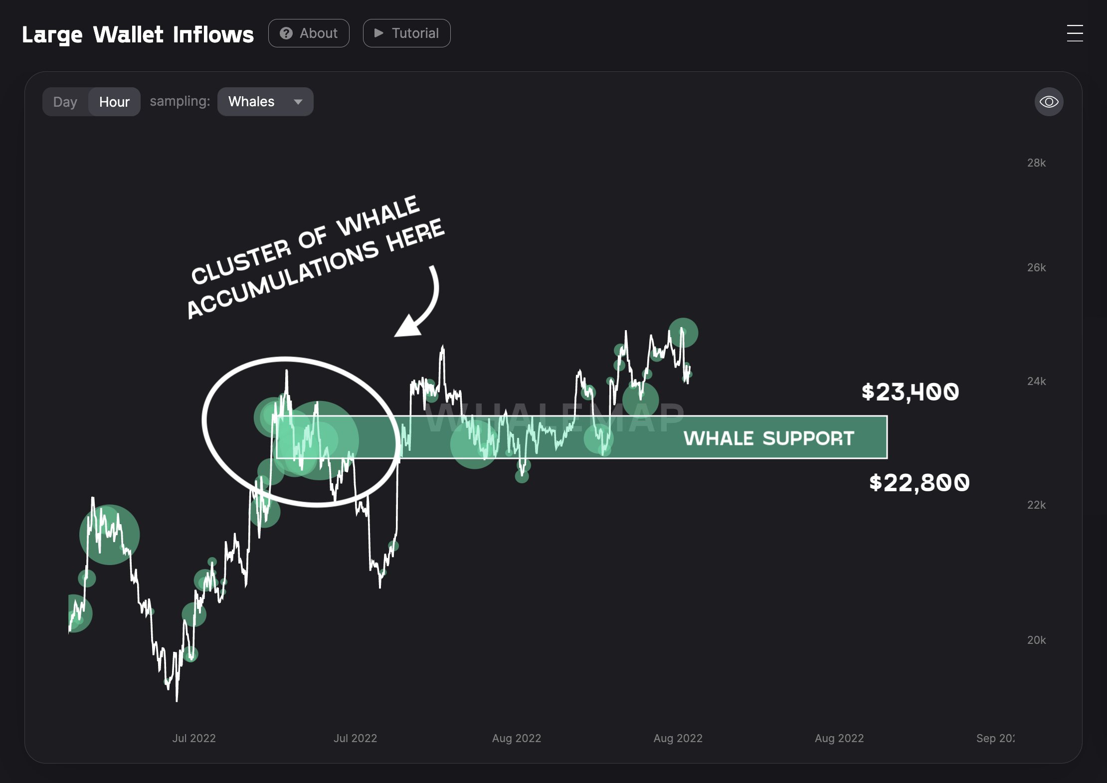 Giá Coin hôm nay 19/8: Bitcoin mất hỗ trợ $23.000, altcoin giảm hai chữ số, chứng khoán Mỹ tăng nhẹ khi lạm phát EU đạt kỷ lục