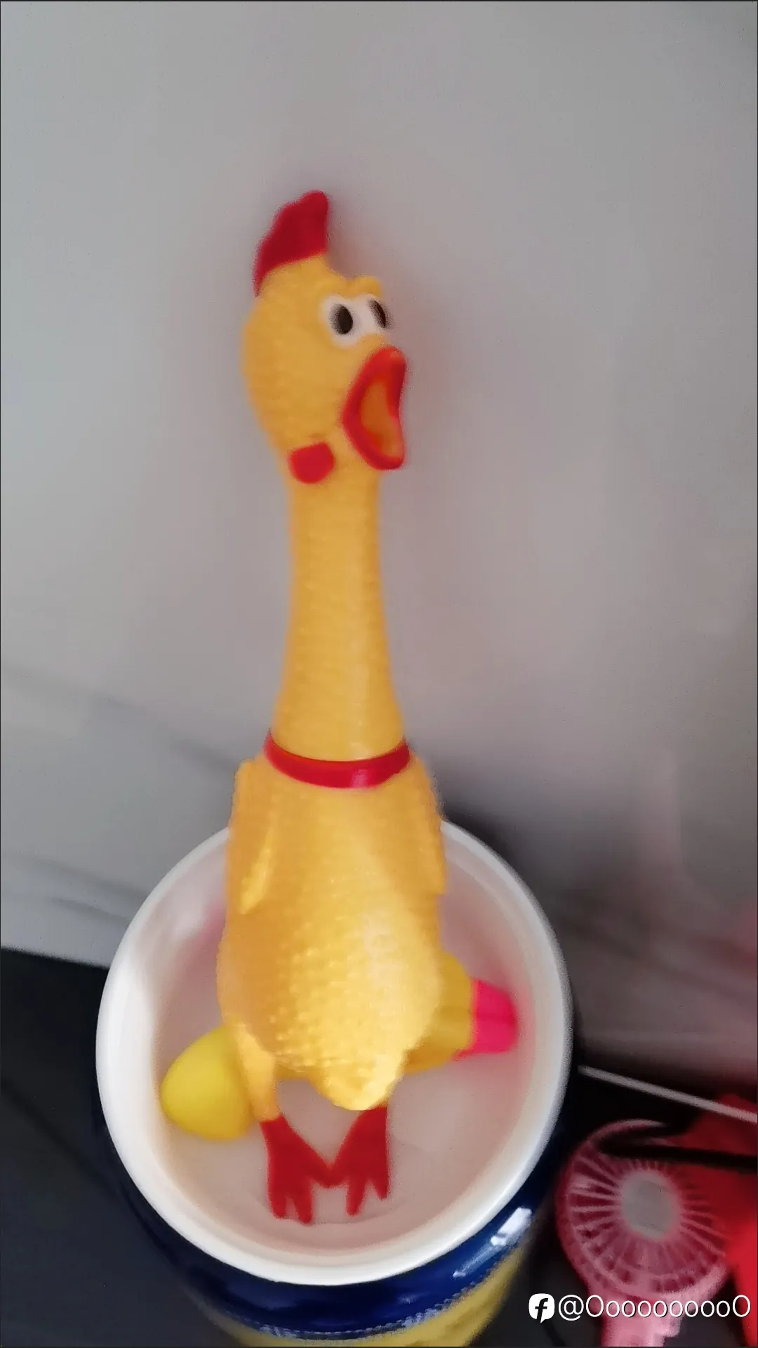 feed image