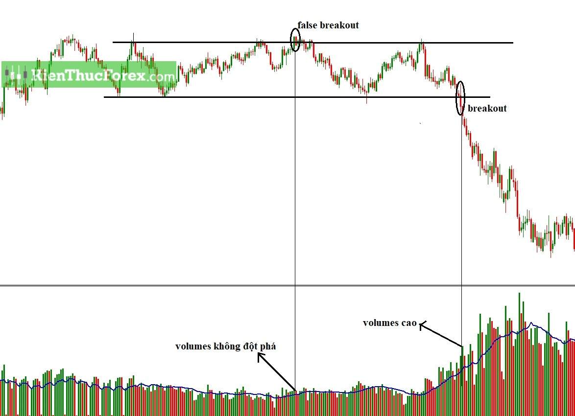 Break Out là gì? Dấu hiệu nhận biết breakout và false breakout